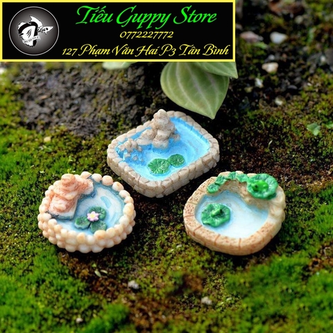 Phụ Kiện Tiểu Cảnh - Mô Hình Hồ Bơi Nhân Tạo (ZC-163) - Tiểu Cảnh Trang Trí Chậu Sen đá, Hồ Cá, Bonsai, Terrarium