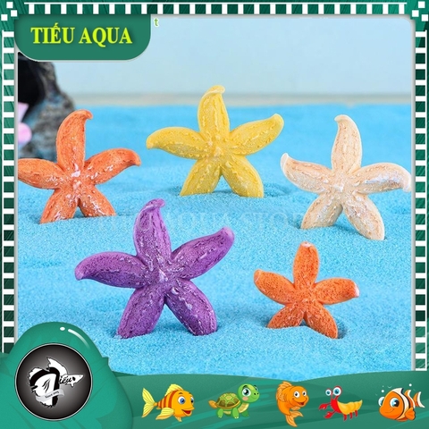 Phụ Kiện Tiểu Cảnh - Mô Hình Sao Biển Nhiều Màu (ZC-457) - Tiểu Cảnh Trang Trí Chậu Sen đá, Hồ Cá, Bonsai, Terrarium
