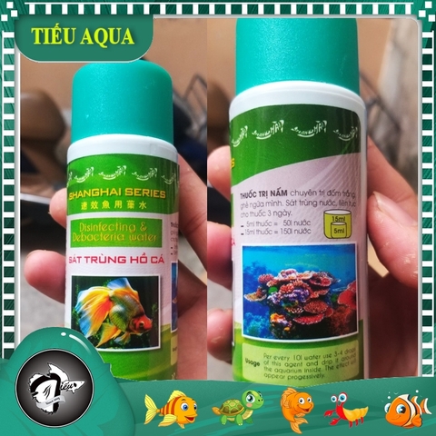 Dung Dịch Shanghai Sát Khuẩn Hồ Cá