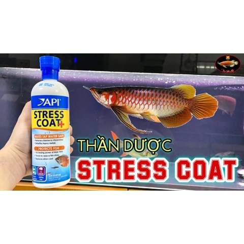 API STRESS COAT+ , Thần Dược cho cá cảnh. Giảm stress và khử kim loại nặng, phục hồi vết thương