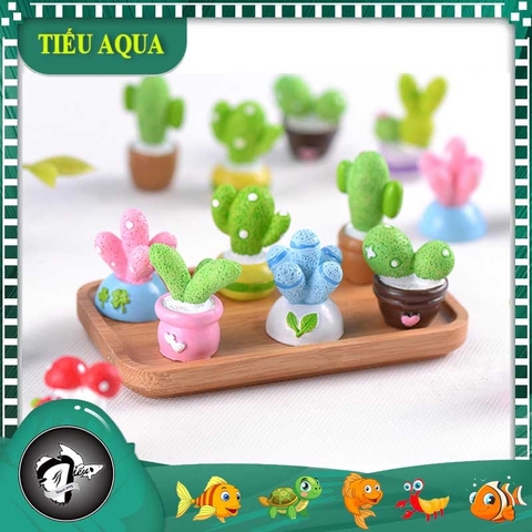 Phụ Kiện Tiểu Cảnh -  Mô hình Cây Xương Rồng dễ thương (ZC- 814)- Tiểu Cảnh Trang Trí