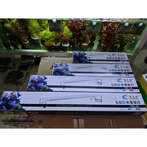 Đèn Led XuanMeiLong Máng Hồ Cá - Đèn XML siêu sáng cho Hồ Cá Cảnh