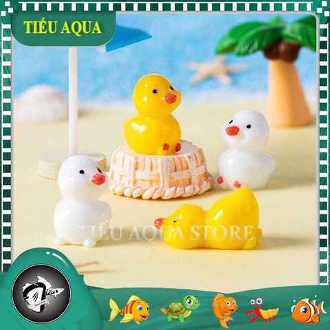 Mô hình Vịt Con, Vịt Trắng Vịt Vàng Đáng Yêu - Tiểu Cảnh Trang Trí Chậu Sen đá, Hồ Cá, Bonsai, Terrarium (ZC - 966)
