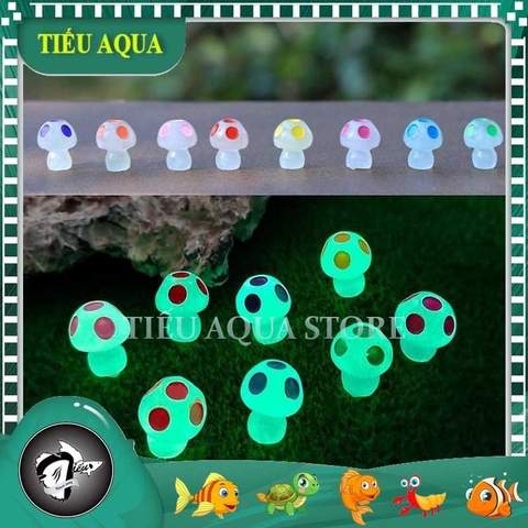 Phụ Kiện Tiểu Cảnh - Mô Hình Nấm Dạ Quang (PK-895) - Tiểu Cảnh Trang Trí Chậu Sen đá, Hồ Cá, Bonsai, Terrarium