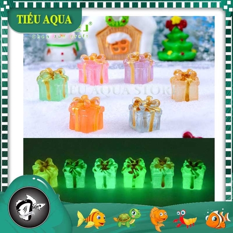 Phụ Kiện Tiểu Cảnh - Hộp Quà Giáng Sinh Dạ Quang (ZC-1055) - Tiểu Cảnh Trang Trí Chậu Sen đá, Hồ Cá, Bonsai, Terrarium