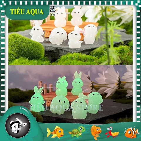 Phụ Kiện Tiểu Cảnh - Thỏ Dạ Quang Đáng Yêu, Thỏ Con (ZC-939) - Tiểu Cảnh Trang Trí Chậu Sen đá, Hồ Cá, Bonsai, Terrarium