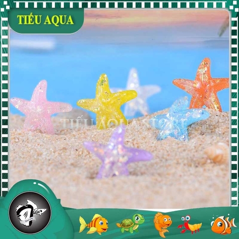 Phụ Kiện Tiểu Cảnh - Sao Biển Nhiều Màu (ZC-374) - Tiểu Cảnh Trang Trí Chậu Sen đá, Hồ Cá, Bonsai, Terrarium