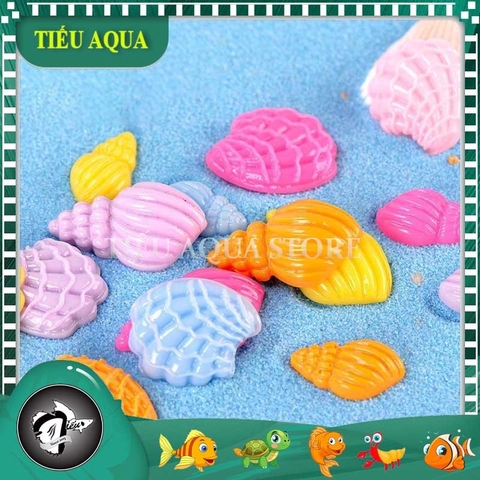 Phụ Kiện Tiểu Cảnh - Mô Hình Ốc Biển Nhiều Màu (ZC-348) - Tiểu Cảnh Trang Trí Chậu Sen đá, Hồ Cá, Bonsai, Terrarium
