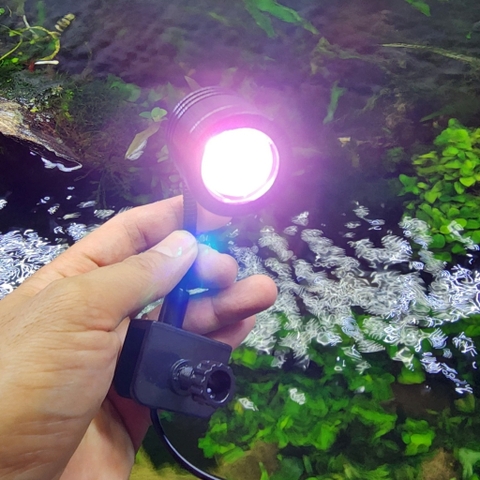 Đèn Rọi Led Kaokui KK-F05 3W Cho Bể Cá Mini – 3 Chế Độ Màu & Chỉnh Tiêu Cự – Đèn Trang Trí Hồ Cá Tiết Kiệm Điện