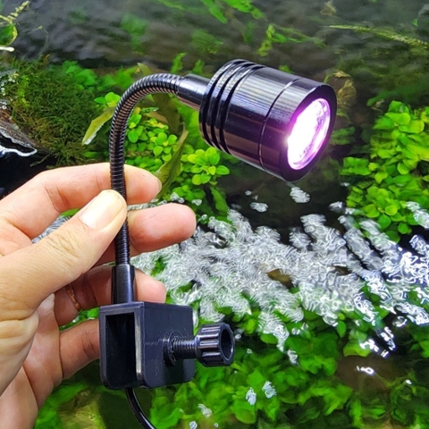 Đèn Rọi Led Kaokui KK-F05 3W Cho Bể Cá Mini – 3 Chế Độ Màu & Chỉnh Tiêu Cự – Đèn Trang Trí Hồ Cá Tiết Kiệm Điện