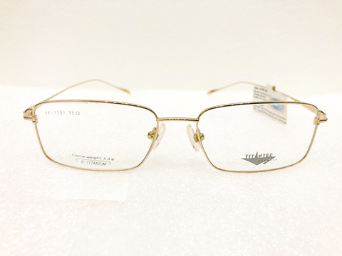 Gọng TITANTEC TF1731 C01 chính hãng