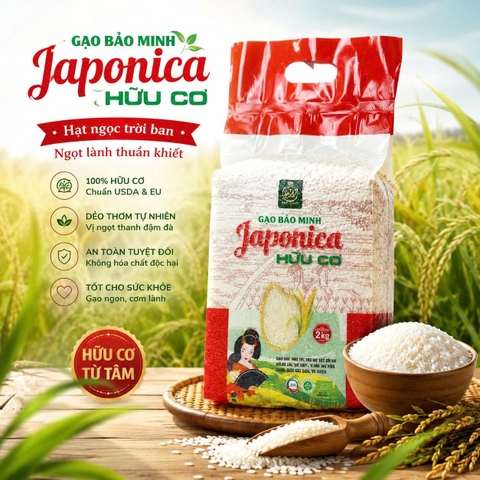 CÁCH PHÂN BIỆT GẠO JAPONICA CHUẨN HỮU CƠ USDA VÀ CAM KẾT 100% KHÔNG TRỘN TỪ BẢO MINH