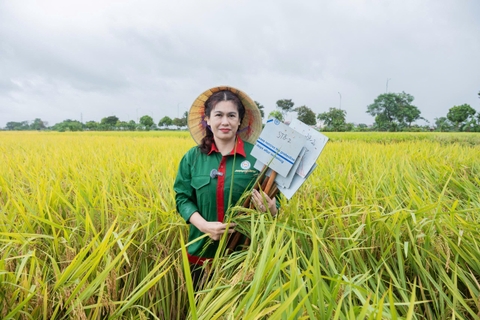 NGƯỜI DÂN CHÍ MINH (HẢI PHÒNG) CHIA SẺ VỀ HÀNH TRÌNH LÀM NÔNG NGHIỆP SẠCH CÙNG GẠO BẢO MINH