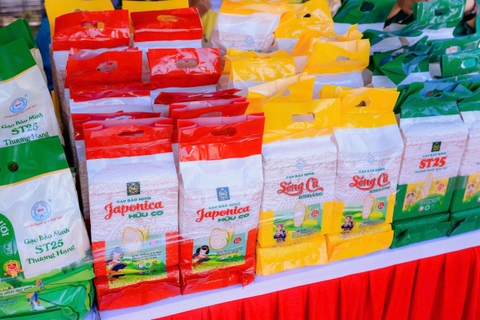 BỘ SƯU TẬP QUEEN RICE: TINH HOA TỪ HÀNH TRÌNH GIEO TÂM VÀO HẠT GẠO BẢO MINH