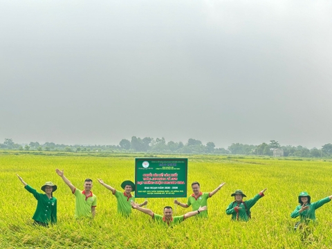 VƯỢT QUA KIỂM DUYỆT KHẮT KHE CỦA MỸ, GẠO HỮU CƠ BẢO MINH TỰ HÀO ĐẠT CHUẨN USDA ORGANIC QUYỀN LỰC