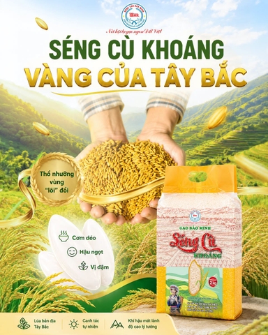 SÉNG CÙ KHOÁNG BẢO MINH - VÀNG TRẮNG TỪ THỔ NHƯỠNG VÙNG “LÕI” TÂY BẮC