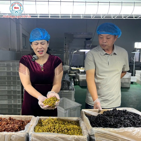 NHO KHÔ TURPAN: SỰ THẬT VỀ LOẠI NHO KHÔ ĐẮT GIÁ TỪ VÙNG ĐẤT 3.200 GIỜ NẮNG