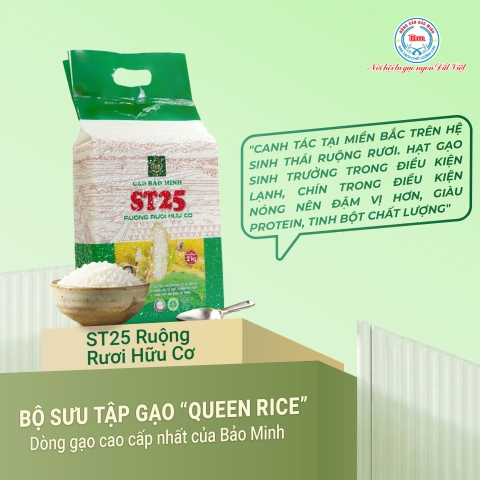 BỘ SƯU TẬP GẠO HỮU CƠ QUEEN RICE: TINH HOA GẠO ĐẶC SẢN BẢO MINH NÂNG TẦM BỮA CƠM VIỆT