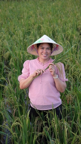 HẠT GẠO VÀ VĂN HÓA LÚA NƯỚC VIỆT NAM: HÀNH TRÌNH 30 NĂM GIỮ LỬA TINH HOA CỦA CEO LỘI RUỘNG BÙI THỊ HẠNH HIẾU