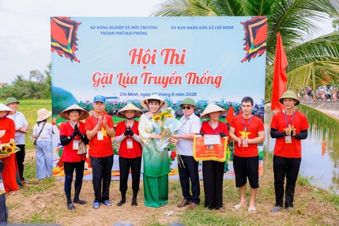 [LỄ HỘI RUỘNG RƯƠI 2026] VỀ CHÍ MINH, HẢI PHÒNG: VÙNG TRỒNG LÚA VUI NHẤT TOÀN QUỐC CÓ GÌ HOT?
