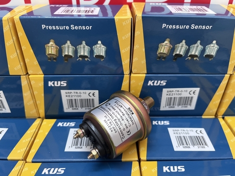 Cảm biến áp suất nhớt 0-10 bar NPT1/8 mã KE21100