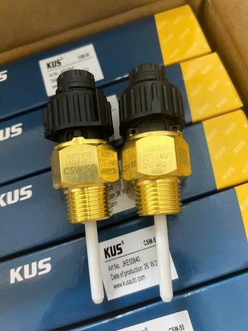 Cảm biến mực nước 1/2''-14NPT mã JKE00840