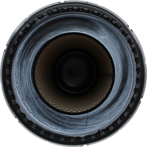 Lọc gió Donaldson P613334