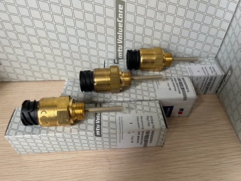 Cảm biến mực nước MTU X00E50205974