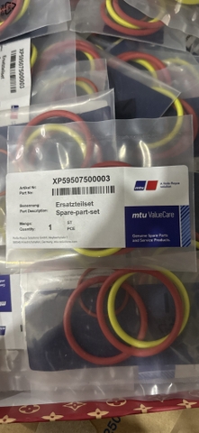 Gioăng kim phun MTU XP59507500003
