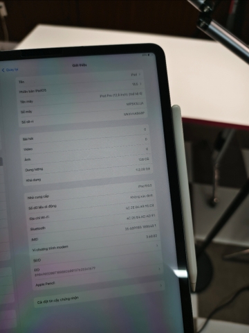 iPad Pro 12.9 inch chip M2 128 5G body likenew pin