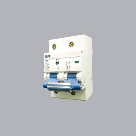 Aptomat MCB 2 pha, 100A, 10kA