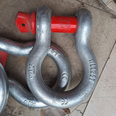 Ma Ní cẩu 10 tấn chữ U/D
