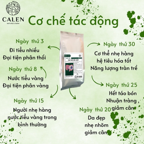 Trà thải độc ruột Calen Nautre's Farm giảm tích tụ axti uric, ngăn ngừa gout và thông ruột nhuận tràng - Tui 30 gói lọc