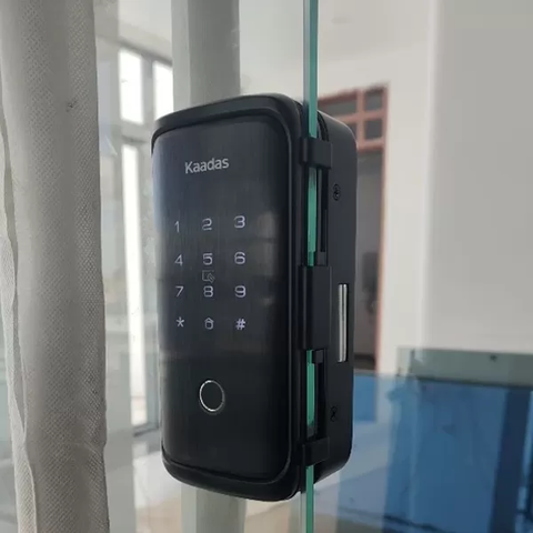 Khóa Vân Tay Cửa Kính Kaadas R8-5GL