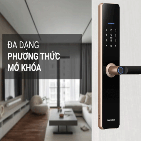 Khóa Cửa Vân Tay Locstar LS-A61