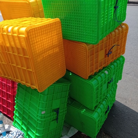 sóng cá cơm (51×35,5×31 cm)