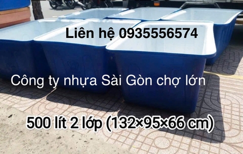 Thùng chữ Nhật nuôi cá 500 lít (132*95*66 cm) 1 lớp và 2 lớp