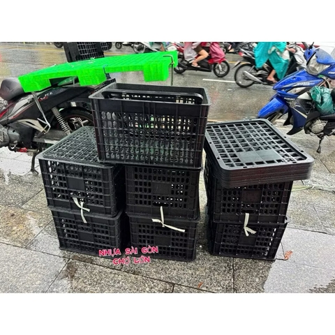 Rổ nhựa đựng xoài và trái cây có nắp (51*39*29 cm)🌸