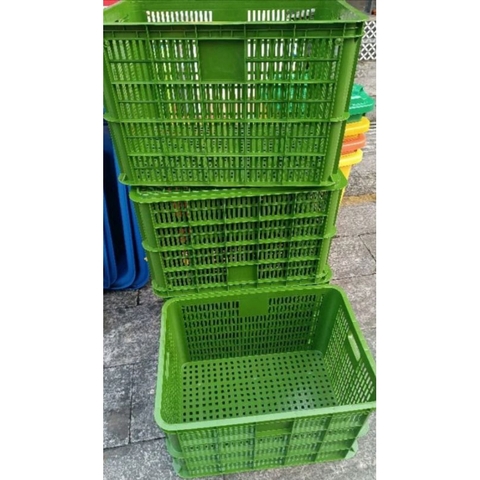 Combo 2 sóng hở 3T9 màu dương