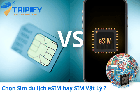 Mua Sim Du Lịch Nước Ngoài, Chọn eSIM hay SIM Vật Lý ?