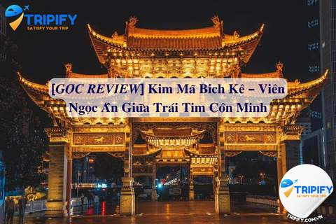 [𝑮𝑶́𝑪 𝑹𝑬𝑽𝑰𝑬𝑾] 𝐊𝐢𝐦 𝐌𝐚̃ 𝐁𝐢́𝐜𝐡 𝐊𝐞̂ – 𝐕𝐢𝐞̂𝐧 𝐍𝐠𝐨̣𝐜 𝐀̂̉𝐧 𝐆𝐢𝐮̛̃𝐚 𝐓𝐫𝐚́𝐢 𝐓𝐢𝐦 𝐂𝐨̂𝐧 𝐌𝐢𝐧𝐡