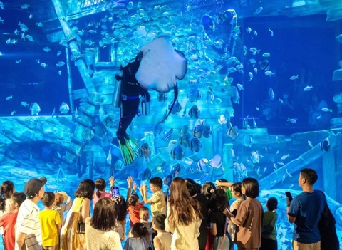 Tour Tham Quan Trải Nghiệm Tại Thủy Cung LOTTE MALL TÂY HỒ - Dành Cho Đoàn Trường Mầm Non, Tiểu Học