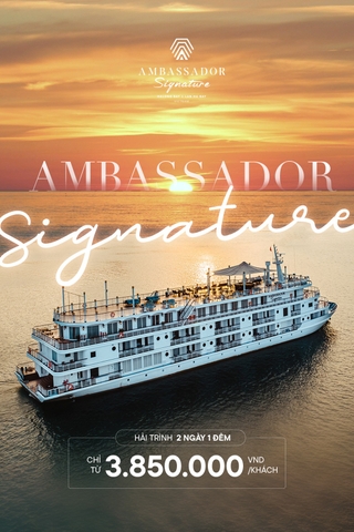 2 NGÀY 1 ĐÊM AMBASSADOR SIGNATURE CRUISE LAN HA BAY 5*