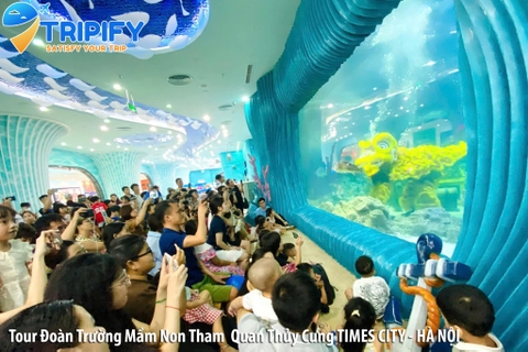 Đặt Tour Đoàn Trường Tham Quan Thủy Cung Times City - Vincom Mega Mall