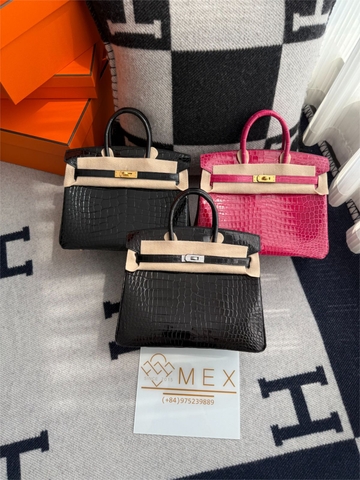 (AVAILABLE) Birkin Crocodile Skin