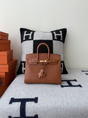 Birkin 25cm Matte Crocodile Leather Handbag