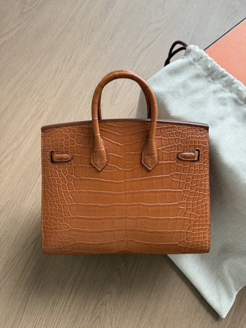Birkin 20 - Gold - Matted Alligator - GHW