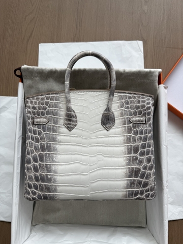 Birkin 25 - Himalaya - Nioticus Crocodile - PHW