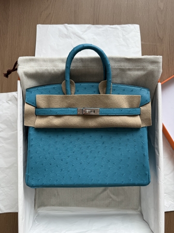 Birkin 25 - Blue - Ostrich - PHW