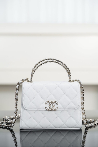 Chanel 25s Crossbody Handle Bag